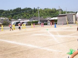 IMG_0453