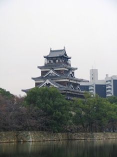 IMG_2955