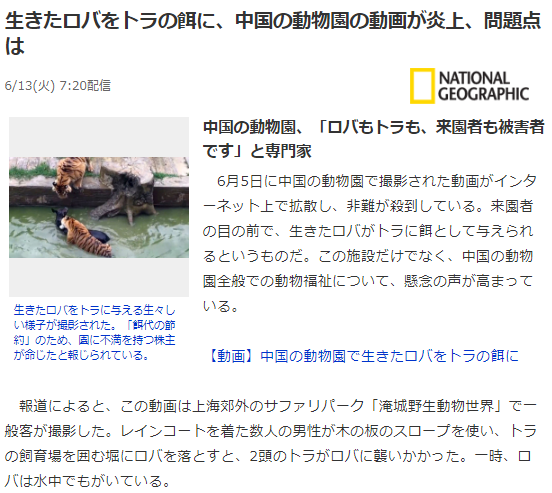 動物3 ロバ