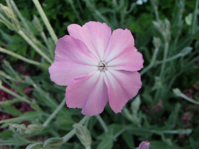 P5210119s
