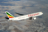 39497e25.jpg