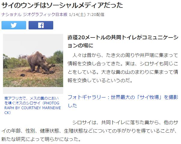 セイウチ2 サイ