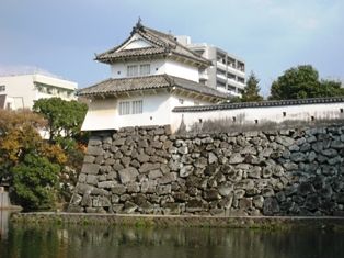 IMG_0606