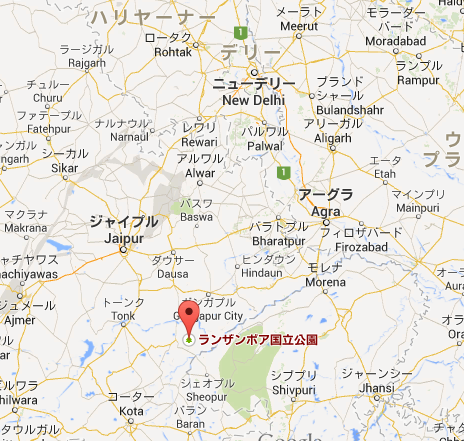 インド虎 公園位置