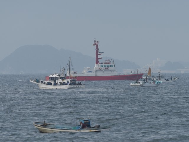 D81_8085