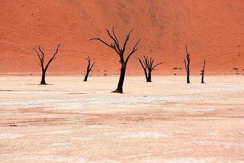 Namibia_photo_02