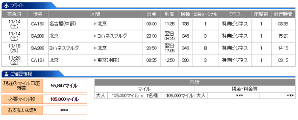 11 2NGO-JNB-HND