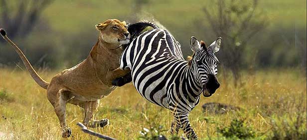 tsavo-west-national-park