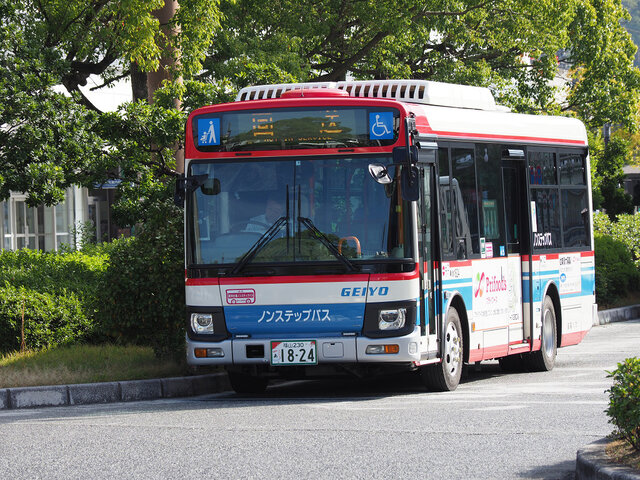 800 (1)