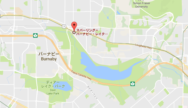 YVR1 バードウォッチング郊外