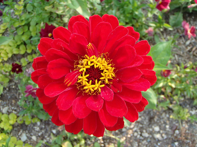 P5210113s