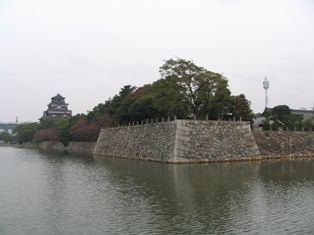 IMG_2941