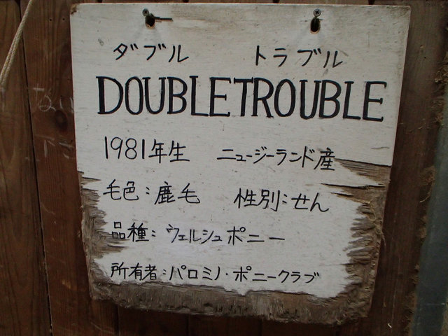 1 (55)