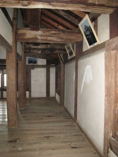 20081017-1020 四国旅行 601