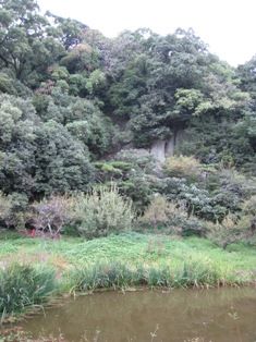 20081017-1020 四国旅行 172