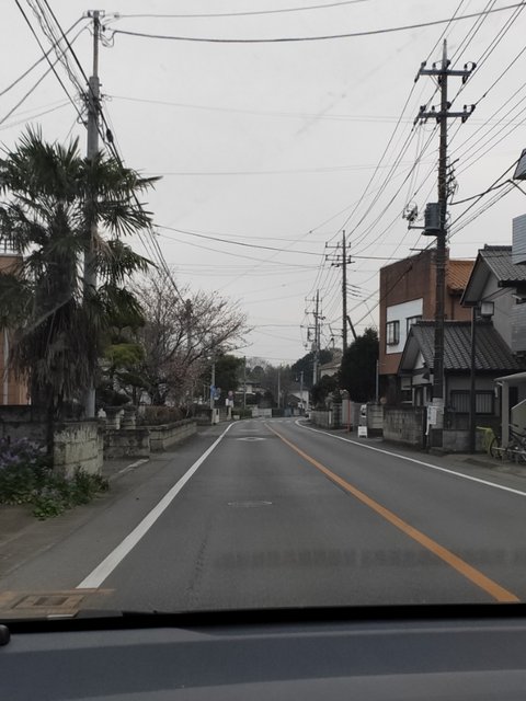 IMG20190330155247