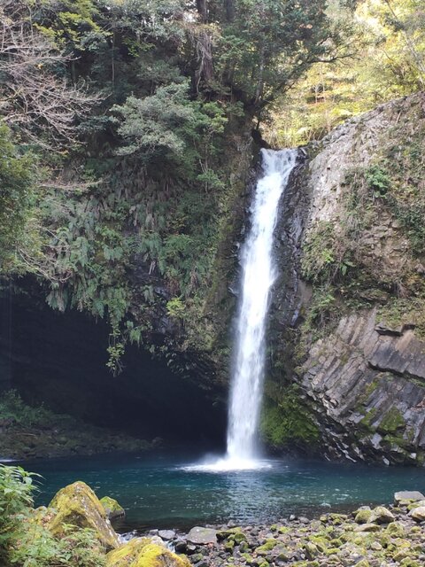 IMG20201128115054