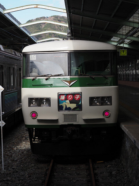 7伊豆急 (26)s