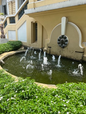 batch_IMG_2185