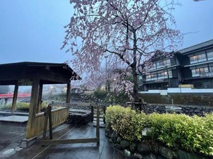 batch_IMG_2695