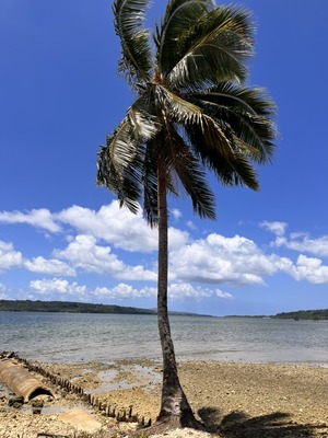 E43BEC9B-ACE5-4355-863A-F77233B6F027_1_105_c