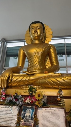 9F6EE7B2-E4AF-43E5-AA2F-E654C63179A9_4_5005_c