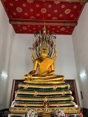 batch_IMG_4078