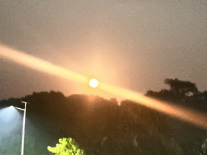 39AF0EE1-61E8-46A5-88BF-B5C0256D39C9_1_105_c