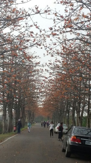 1551860027370