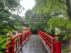 batch_IMG_2877