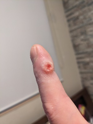 PXL_20231015_125326182