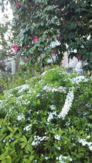 LINE_P2019326_182743