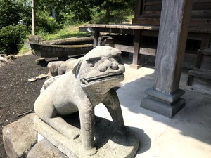 IMG_1397