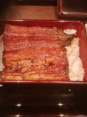 特上うな重