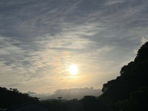 batch_IMG_2881