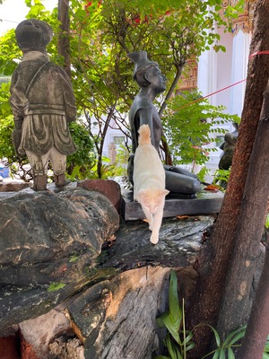 batch_IMG_4086