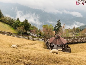 LINE_P2019311_002942