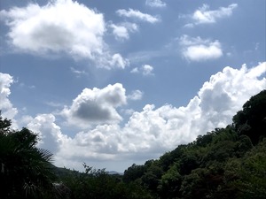 IMG_1743