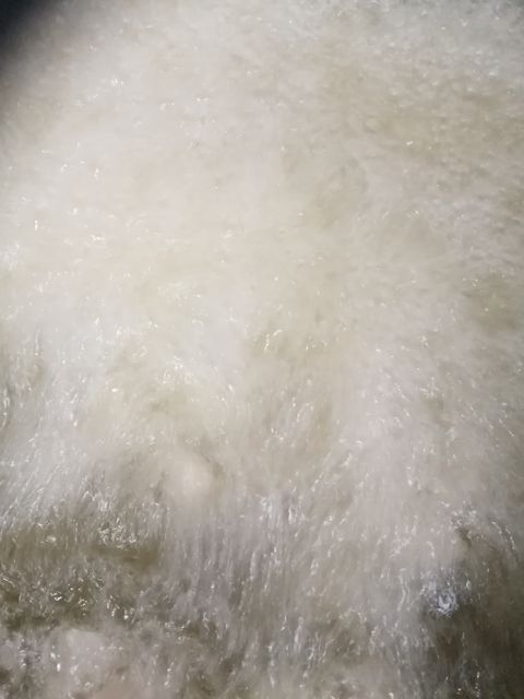 はすね掘る 利久蓮根 寒くなりましたねぇ お料理日和り