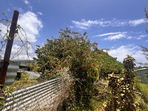 A8559DEF-6E5B-4BF7-8031-C72995610A6D_1_105_c