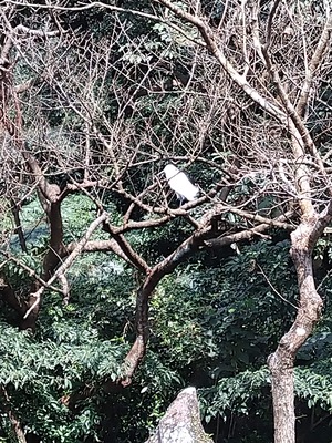 IMG_20200219_135509