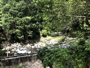 IMG_1219