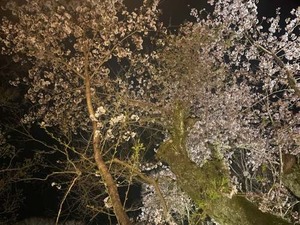 batch_IMG_2730