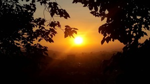 1551859689621