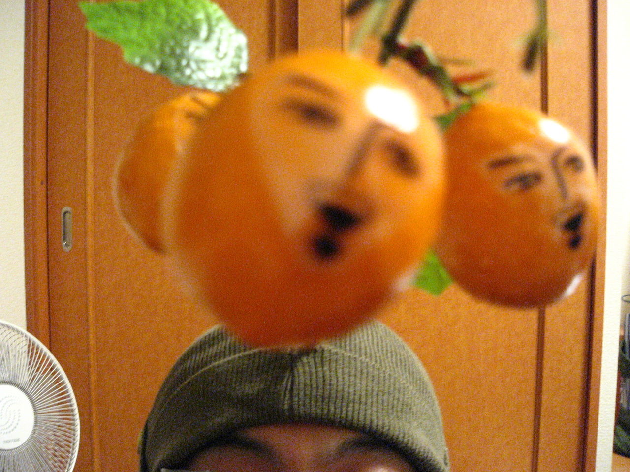 おでこに生えたビワの性格が悪い帽子を作ってみた とーふ工場 おでこに生えたビワの性格が悪い帽子を作ってみた とーふ工場