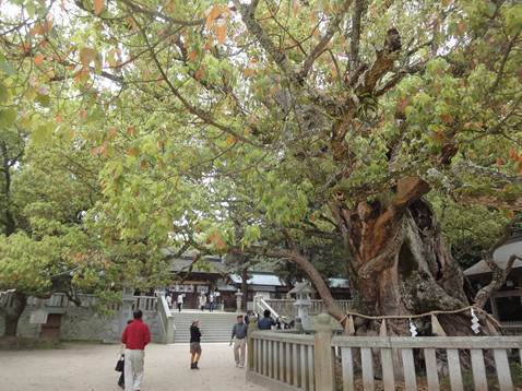 大山祇神社2