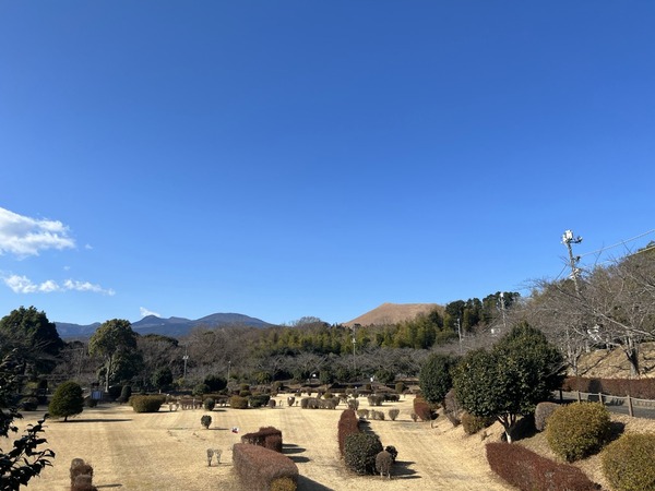 BAD33813-C735-4C23-BF7F-E167D634D2B5_1_105_c