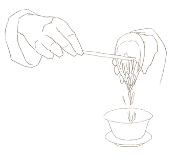 蓋碗に茶葉を入れる