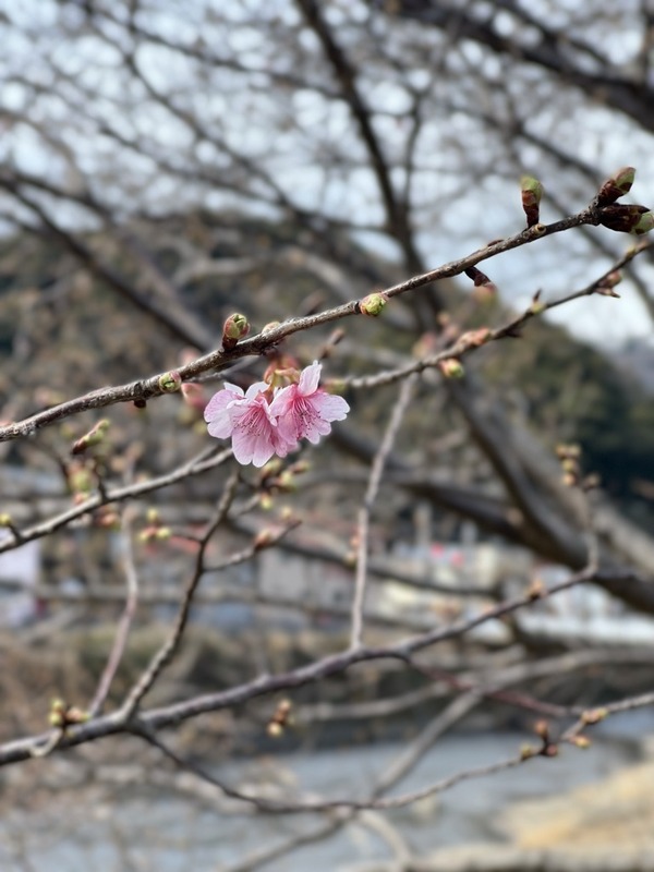 D6459C03-7A2F-4027-9ACF-3349156C75A3_1_105_c