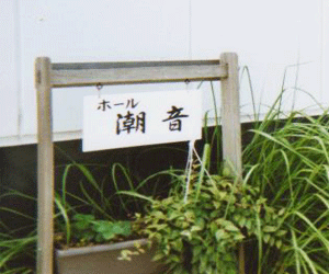 100804.gif